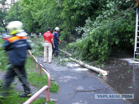 Ураган в Москве, 11 июня 2009
