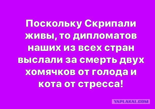 Смешные комментарии из социальных сетей 13.04.2018