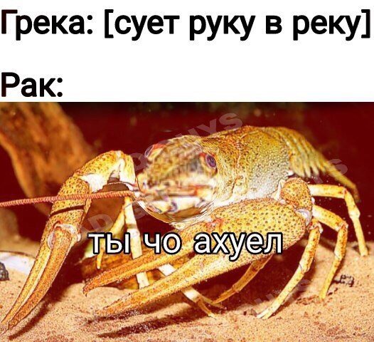 Нестандартный юмор