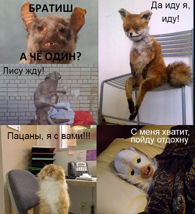 Прикольные картинки.