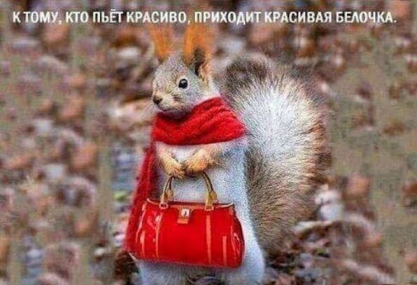 Если вы понимаете, о чем я