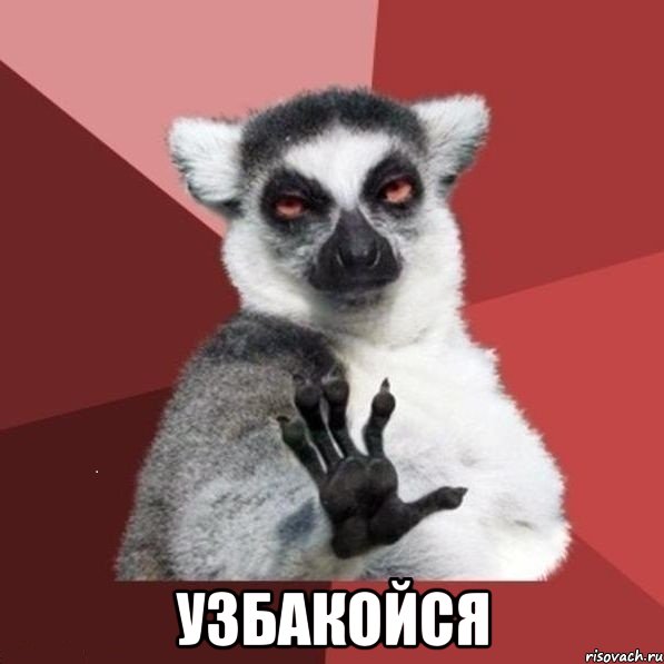 "Получают подарки и пропадают". Что бесит китайца в России