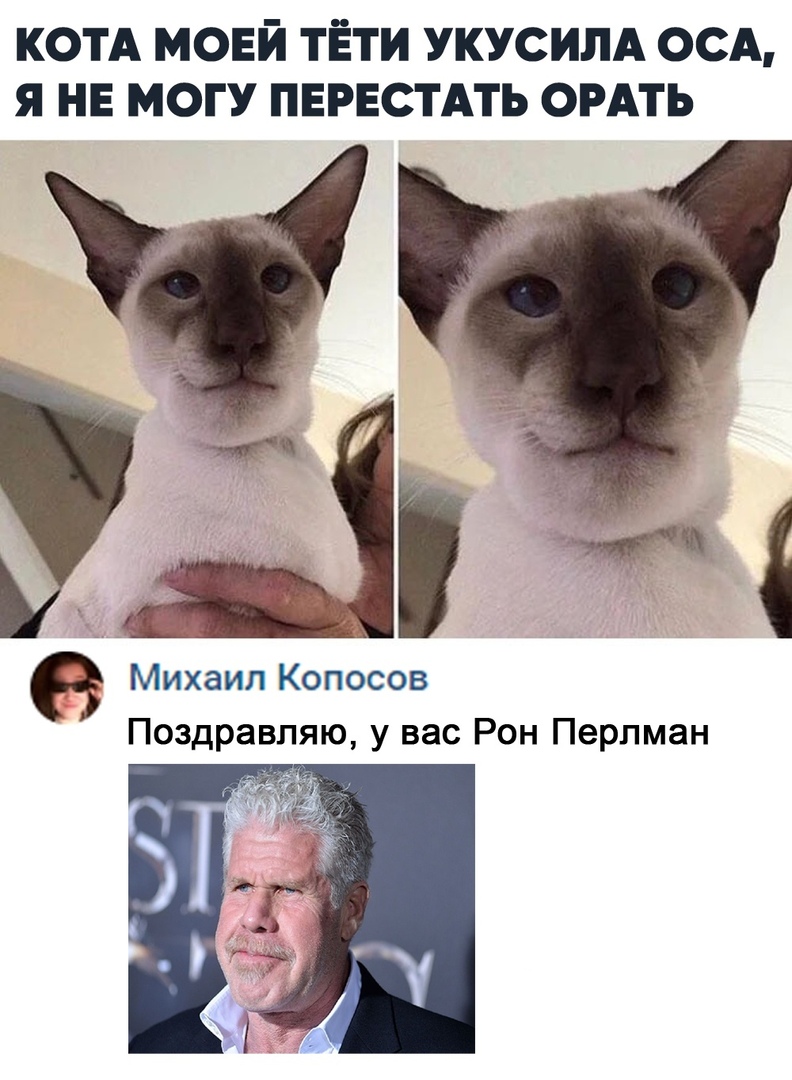 13126675.jpg