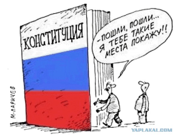 За полгода россияне «оскорбили власть» 45 раз