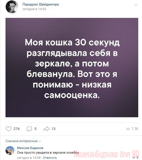 Комментарии к постам в разных группах