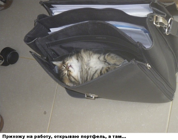 Опять картинок