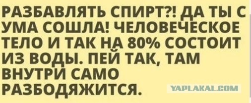 Чуток картинок 02.11.19