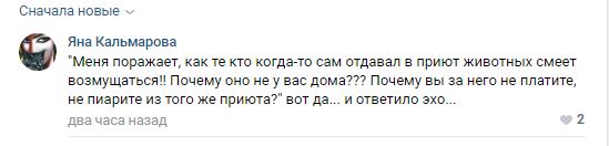 Помогите вернуть кота! Приют "Преданное сердце" украл кота и не отдает!-2