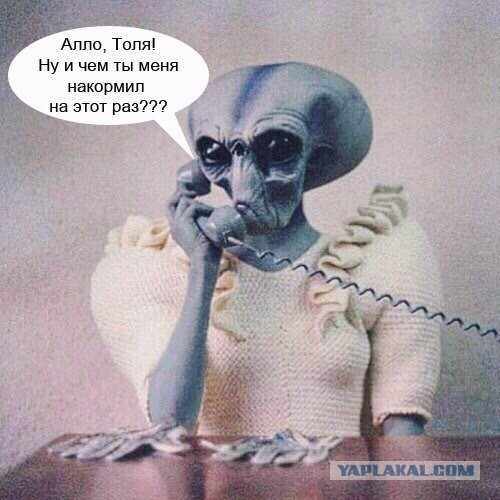 Картинки с надписями, истории и анекдоты 24.11.19