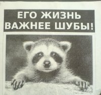 6 претензий, с которыми женщину сразу можно слать, ведь мы ей ничего не должны