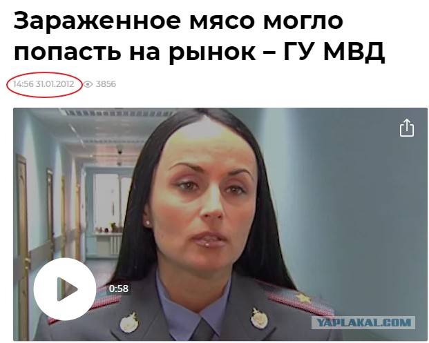 Официальному представителю МВД РФ Ирине Волк присвоено звание генерал-майора