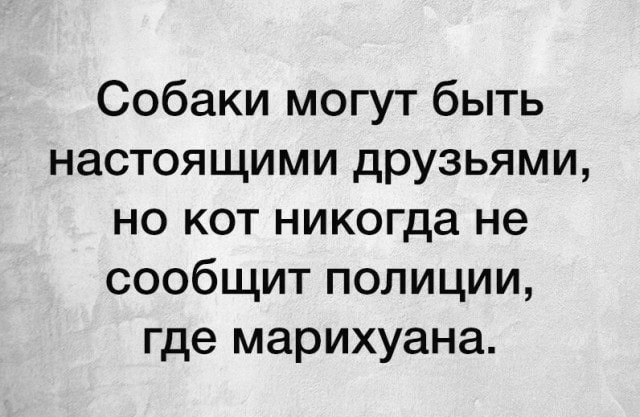 Бредзона 19.04.20