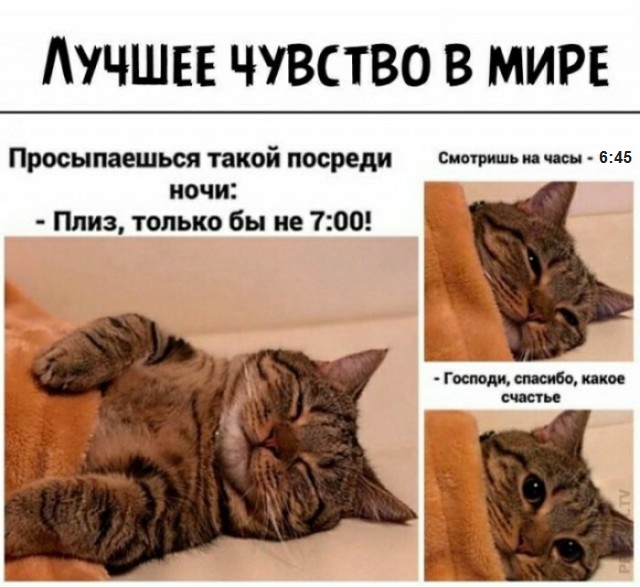 Немного картинок для настроения 01.10.20