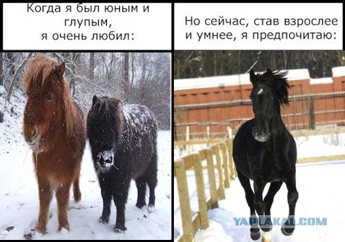 Фотожаба: Когда я был юным и глупым