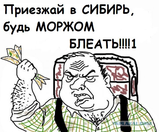 Будь мужиком, скажи что думаешь!