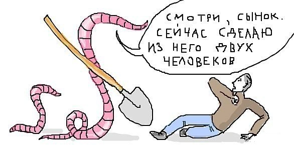 Картинки с надписями фразы  и анекдоты 16.11.20