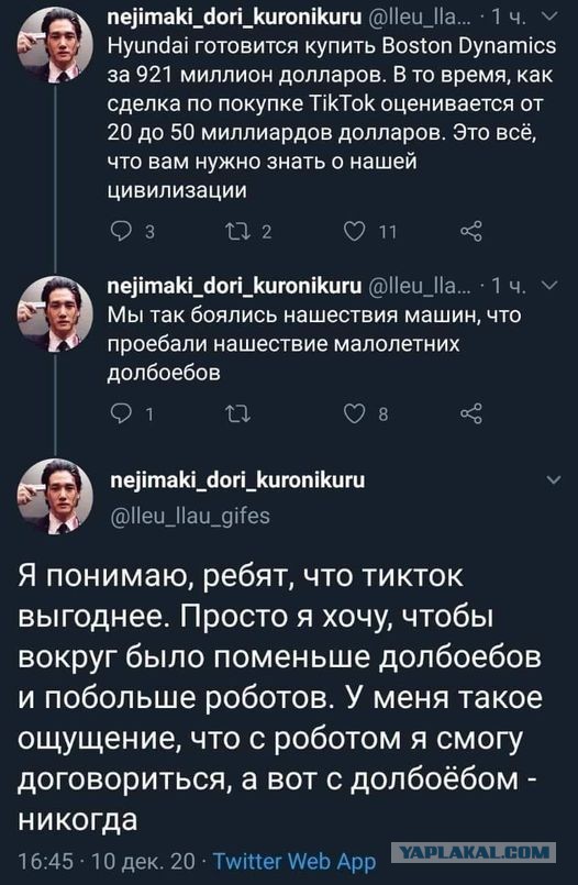Примат залез на новогоднюю ёлку в Новочеркасске