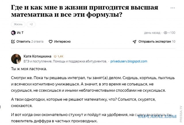 Бредзона 28.12.20