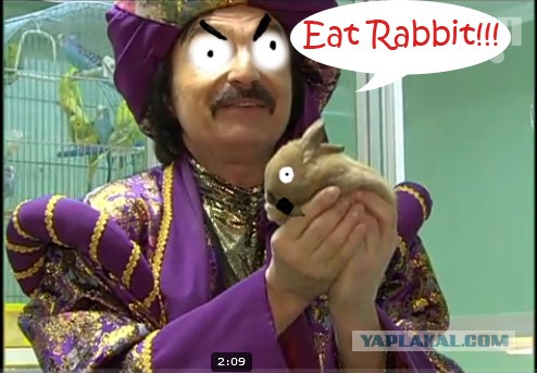 Амаяк Акопян и кролик