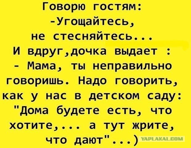 Весёлый полтишок 16.04