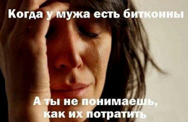 Человек собаке друг и другие картинки под настроение 13.01.2022