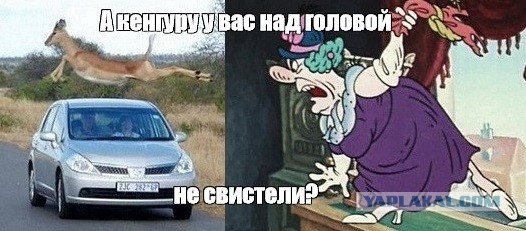 Красивые и интересные картинки 29.05.22