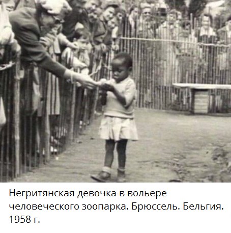 Интересности