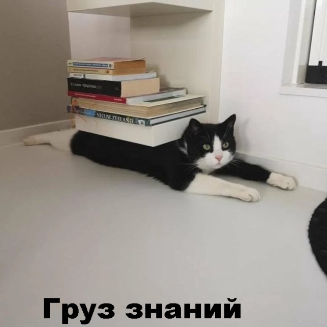 Картинки и мемы для настроения. Выходные скоро