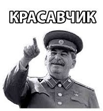 С таким уровнем знания географии среди американцев мы можем жить спокойно