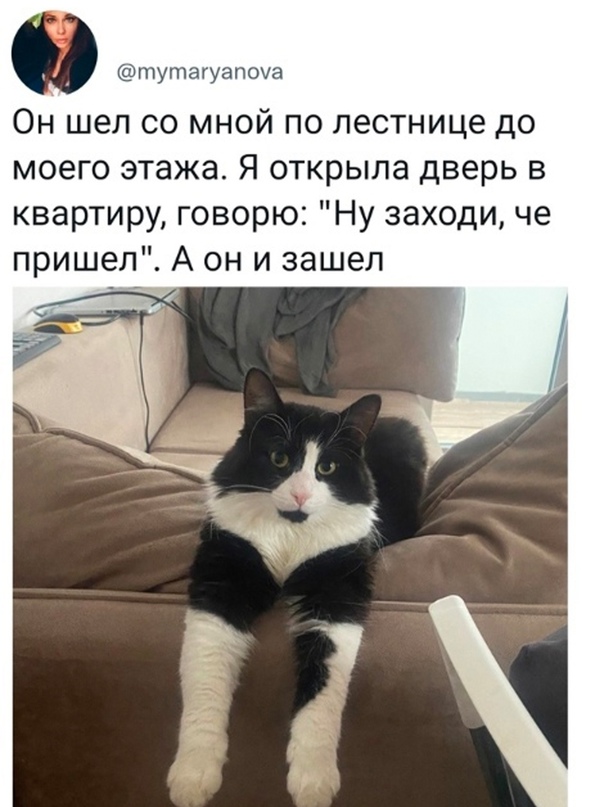 Немного картинок для настроения