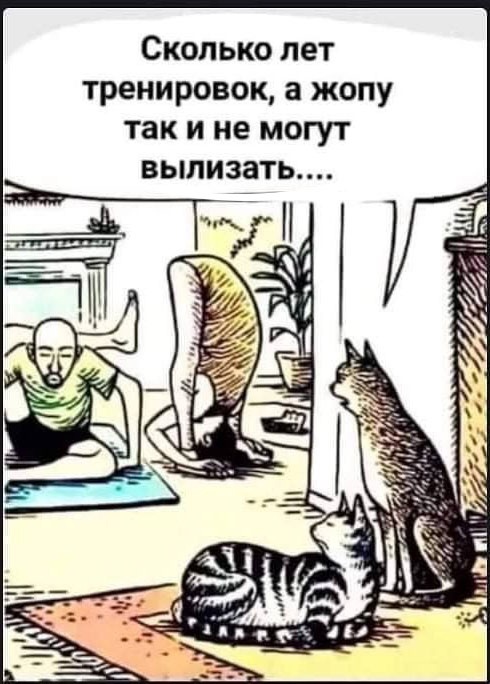 Так себе картинки 28.01.23