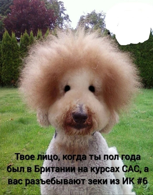Всего понемногу