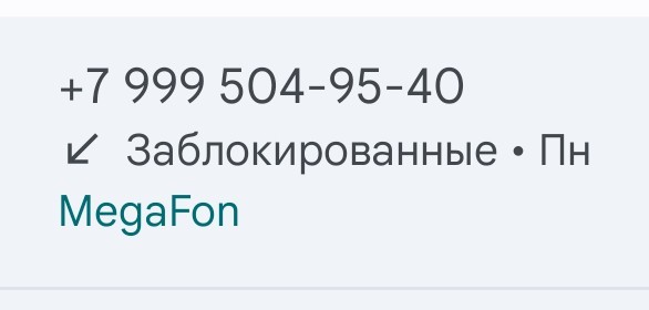 Позвонил мошенник