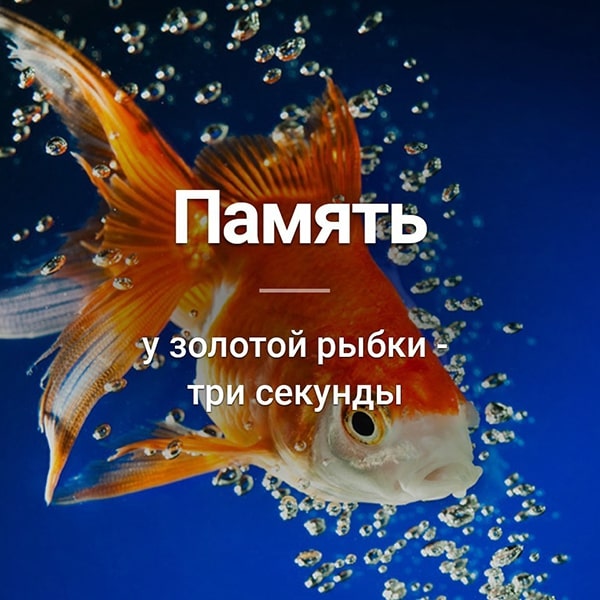 Какой формы Вселенная? Ответ может вас удивить