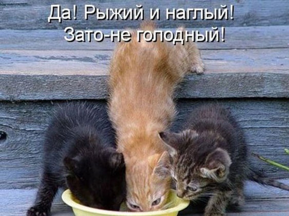 Так себе картинки 26.03.23
