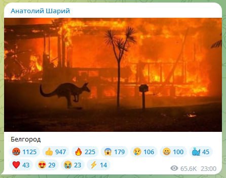 Победная поступь идиотизма по планете – том 11