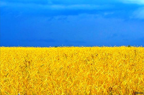 Чиновники сменили желто-синий герб московского района Коптево
