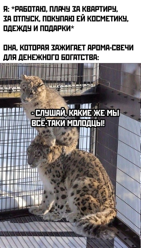 Весёлый полтишок 15.04.24