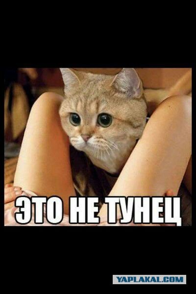 Кто что на ужин готовил?