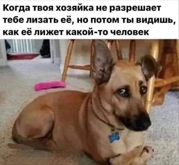 Так себе картинки 28.03.25