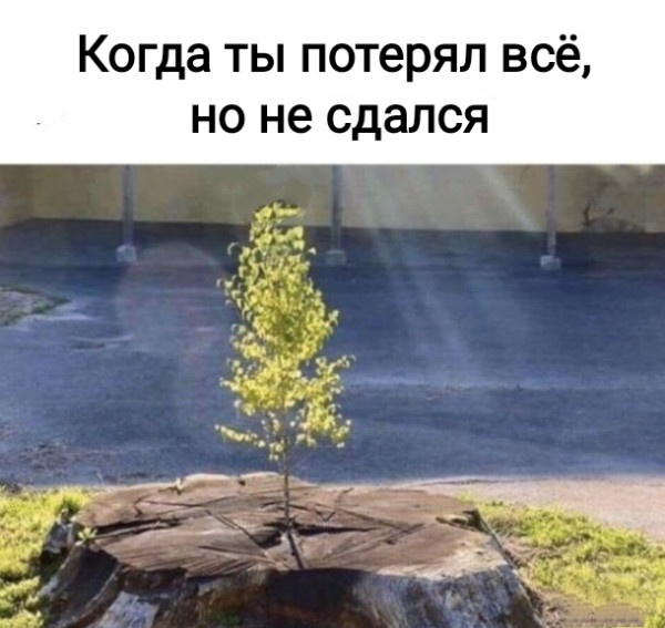 Немного картинкафф для настроения (баяны-перебаяны)