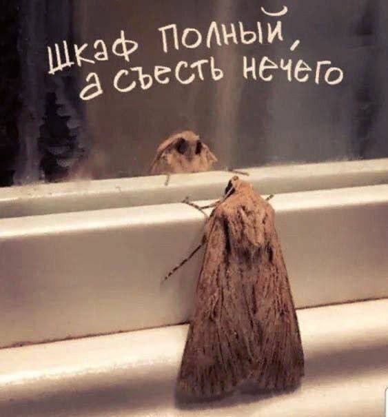 Немного картинок накануне выходных