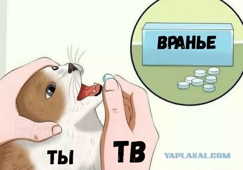 У россиян констатировали перенасыщение чёрной икрой