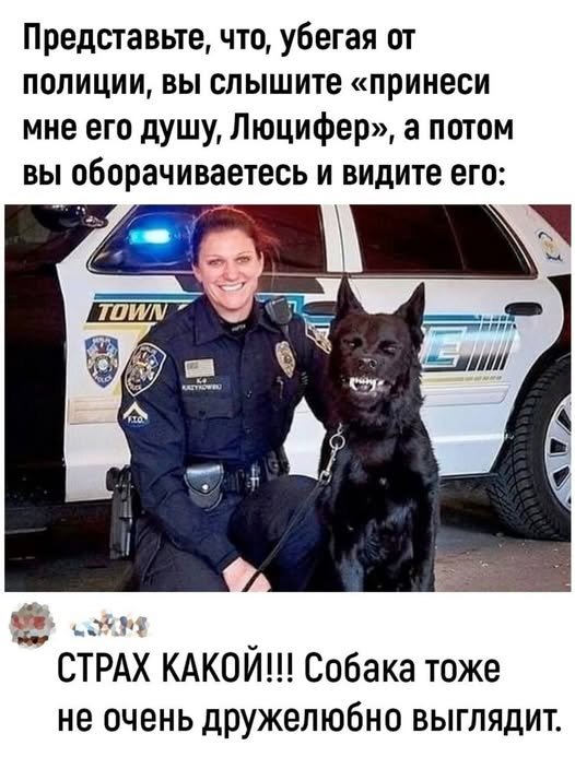 Пятничные бояны