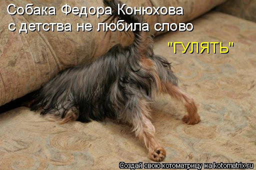 «Я с детства мечтал жить на острове» — Фёдор Конюхов поселился в Антарктиде