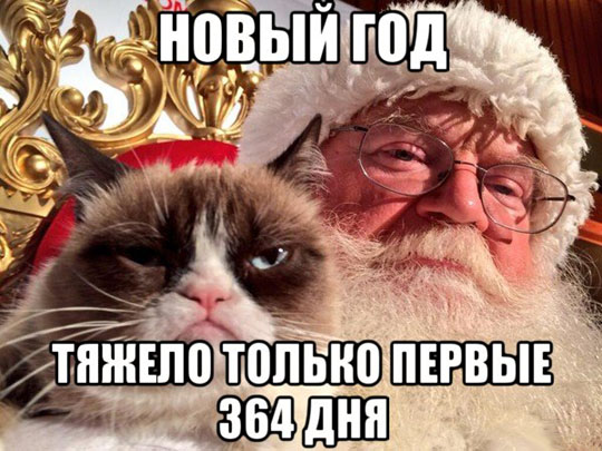 с наступившим годом лошади, продолжаем праздновать!