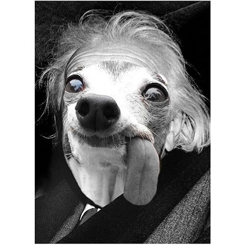 Оно. Перерождение