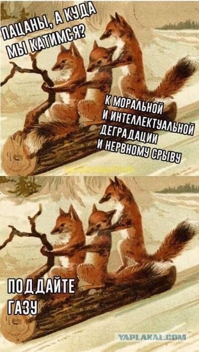 Немецкие паралимпийцы отказались фотографироваться с россиянами и сторонились их при награждении