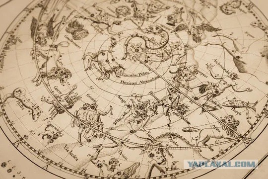 Илон Маск о будущем человечества....