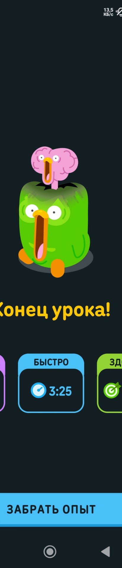 Duolingo могут заблокировать в России